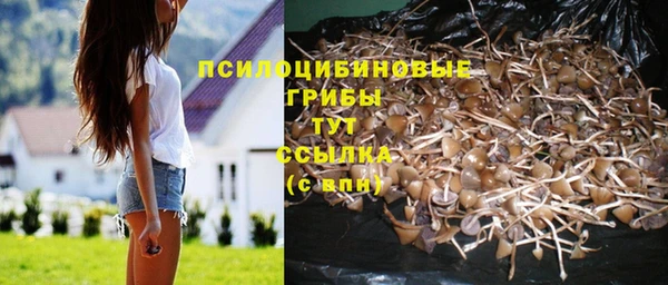 jwh Арсеньев