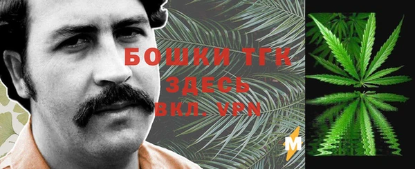 винт Алексин