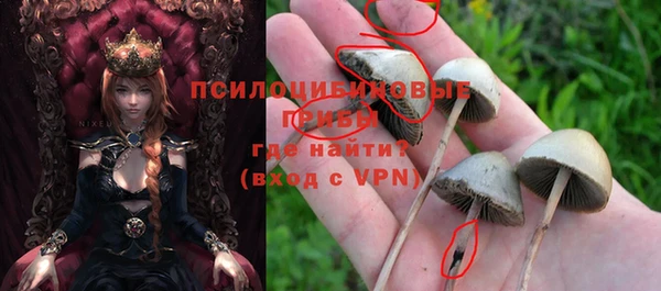 гидропоника Армянск