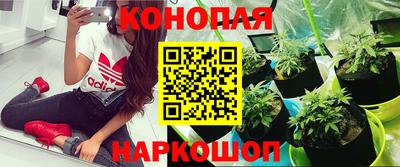 spice Комсомольск-на-Амуре