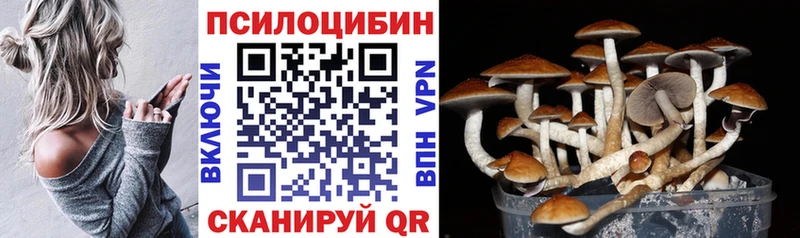 продажа наркотиков  Коломна  Псилоцибиновые грибы GOLDEN TEACHER 