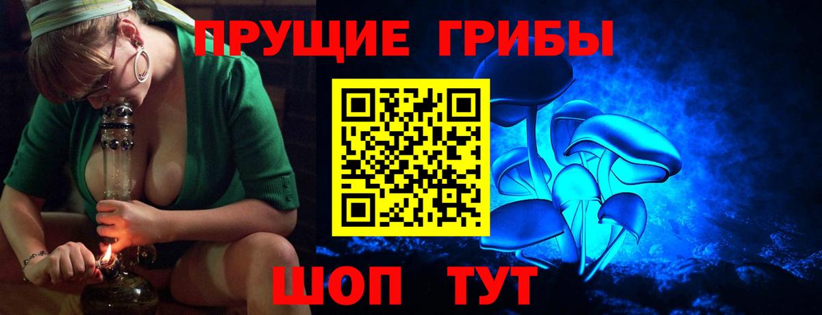 Галлюциногенные грибы Psilocybine cubensis Коломна